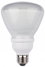 Compact Fluorescent (CFL) Bulbs